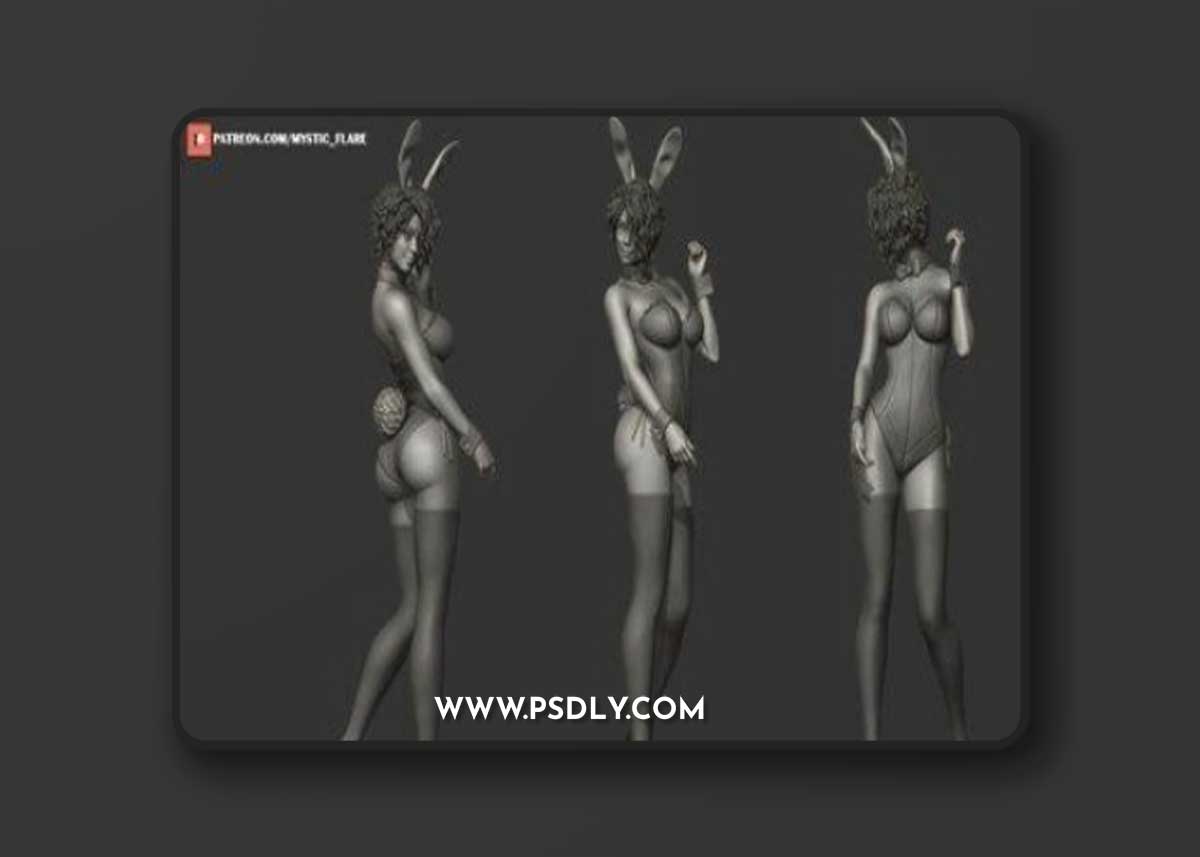 Bunny Girl - Mystic Flare – 3D Print