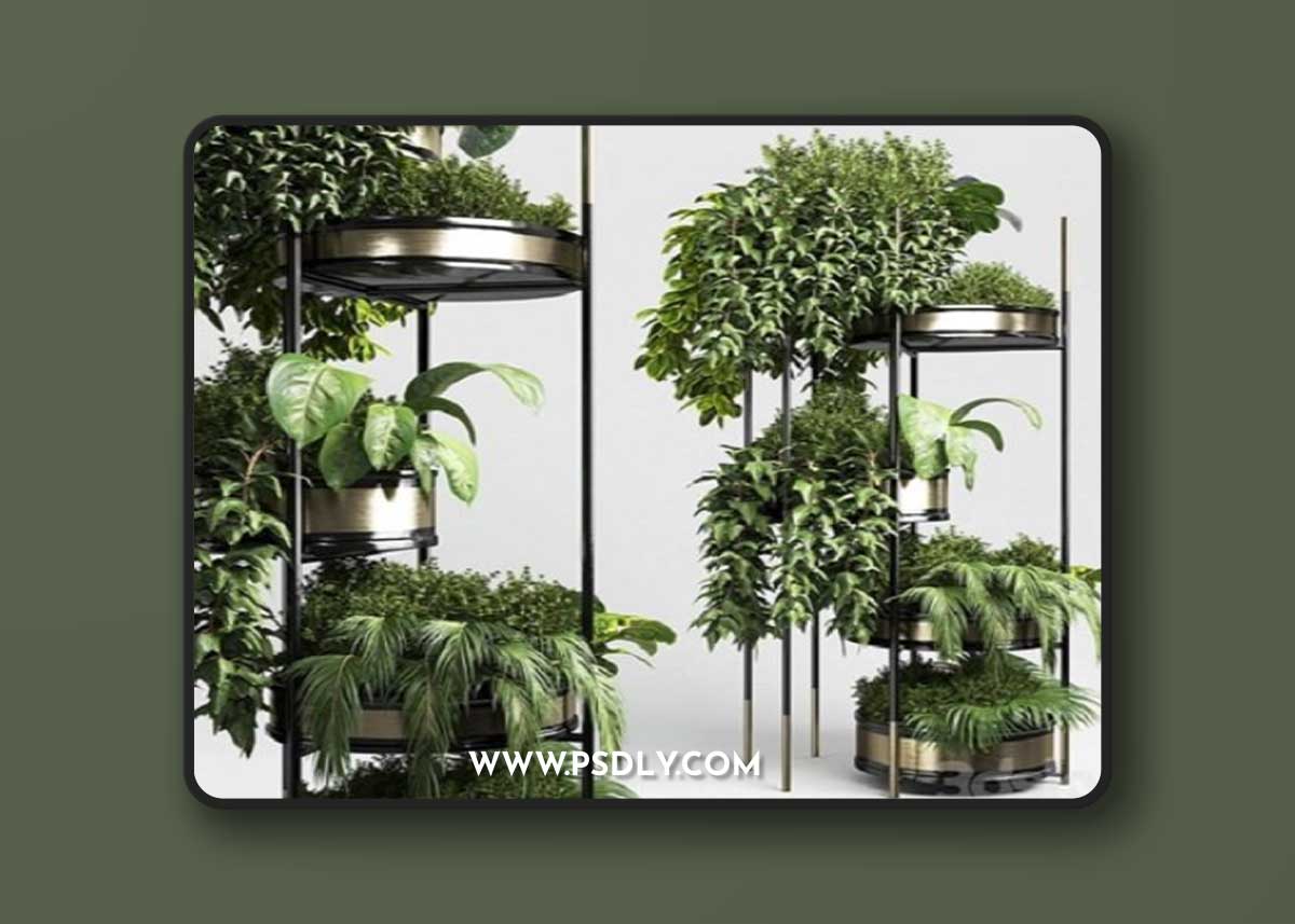 Collection Indoor Plant Plant Stairs Stand Metal Vase 3D Model