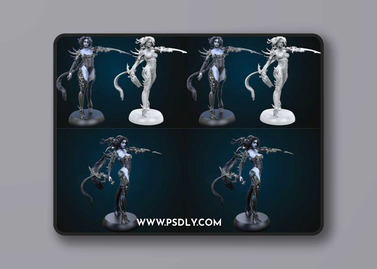 Dark Elf Assassin – 3D Print