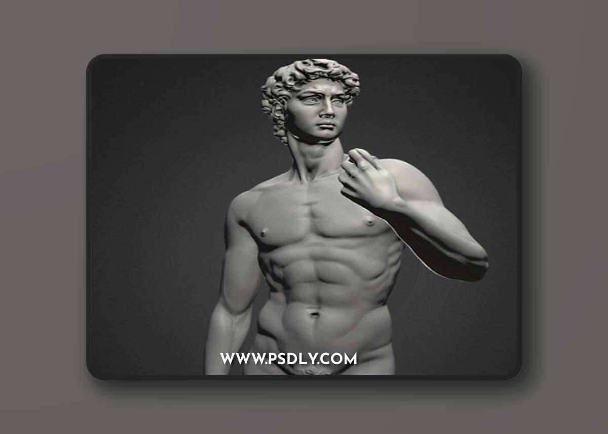 David Statue by Michelangelo 3D Model