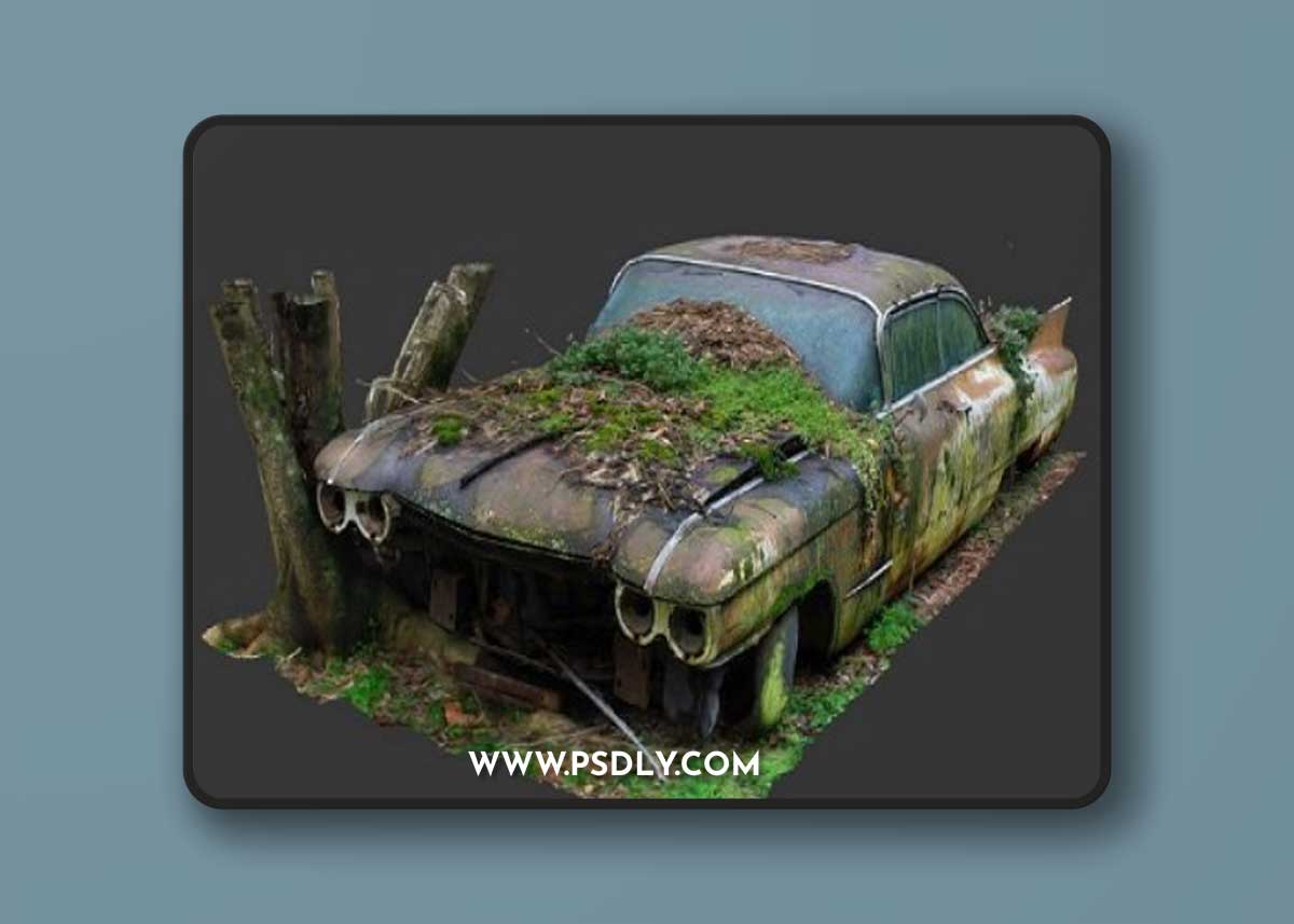 Garden Cadillac (Raw Scan) 3D Model