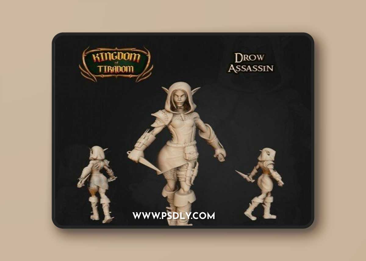 Kingdom of Tiradom - Drow Assassin - 3D Print Model