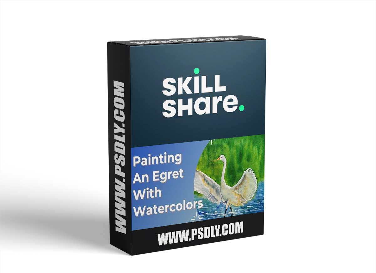 Painting An Egret with Watercolors