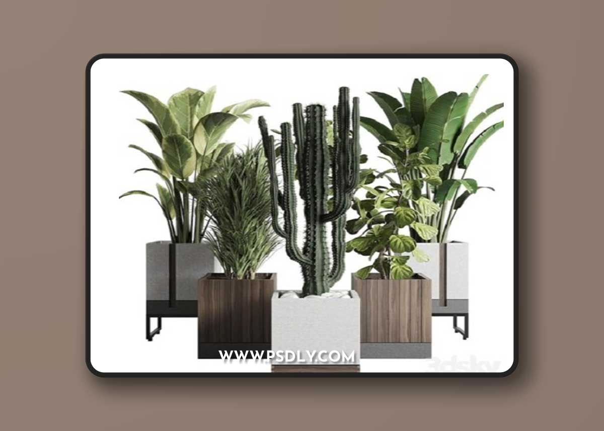 Plant Box Indoor Outdoor Plant 163
