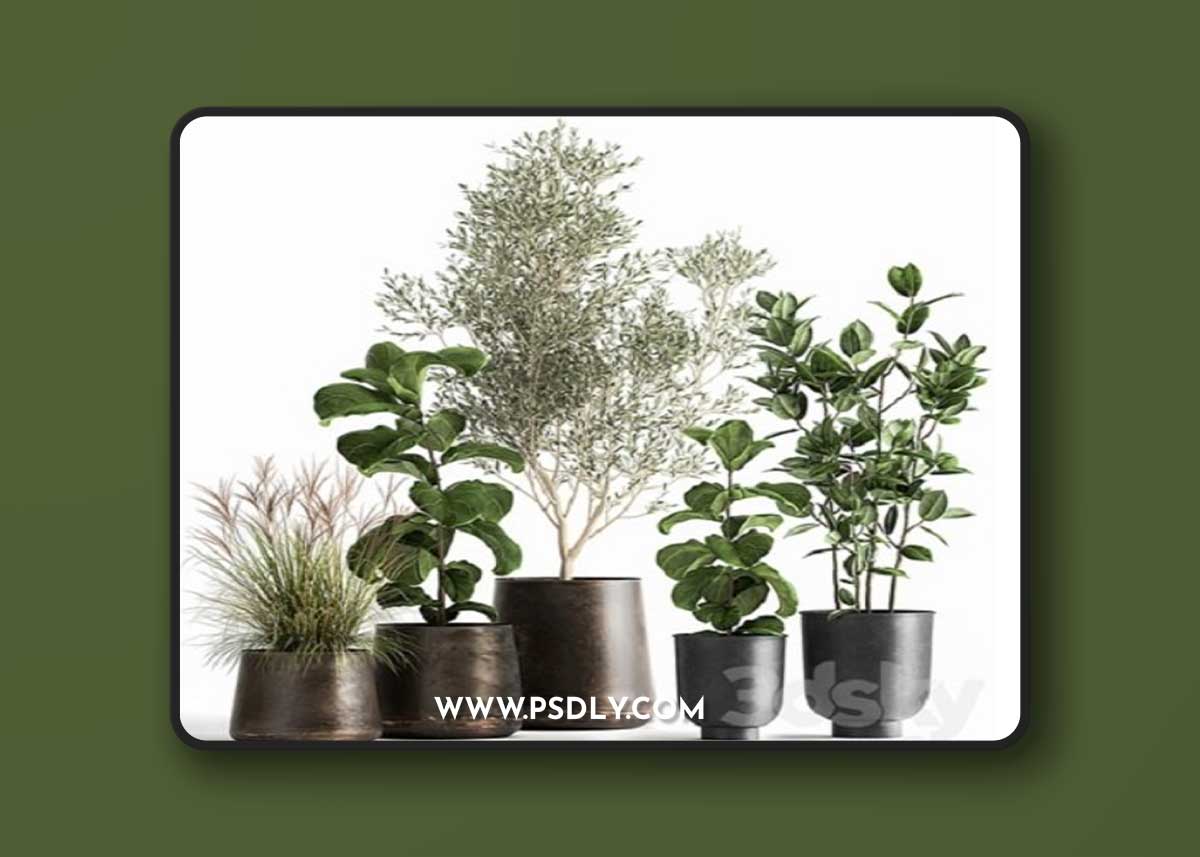 Plant collection 1029 3D Model