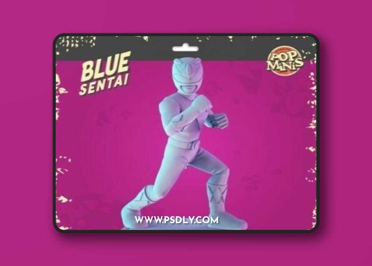 Pop Minis - Blue Sentai – 3D Print Model