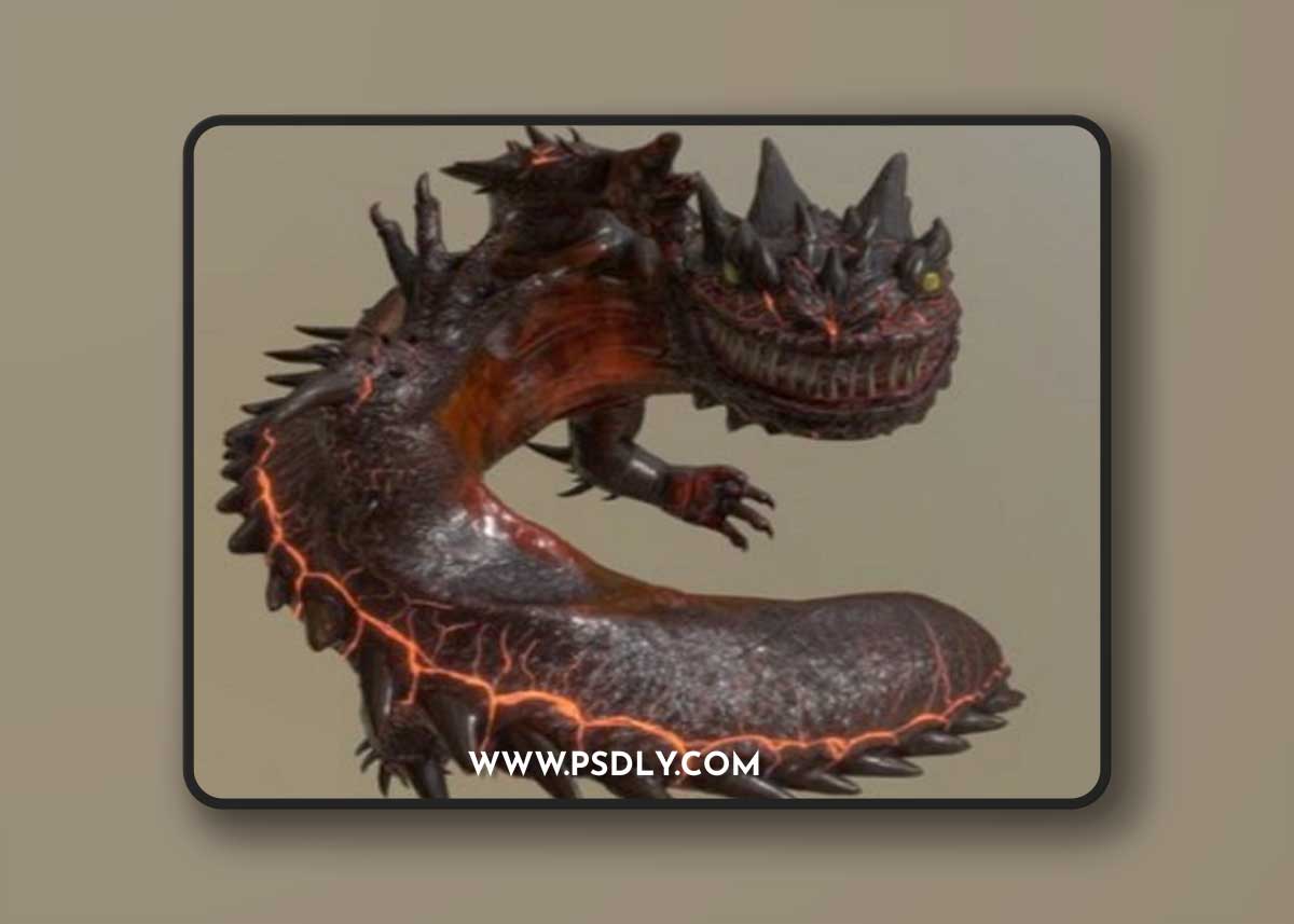 Salamander 3D Model