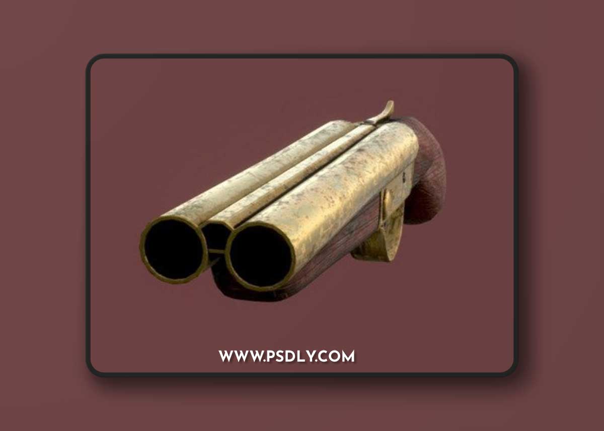 Sawed-off Low Poly