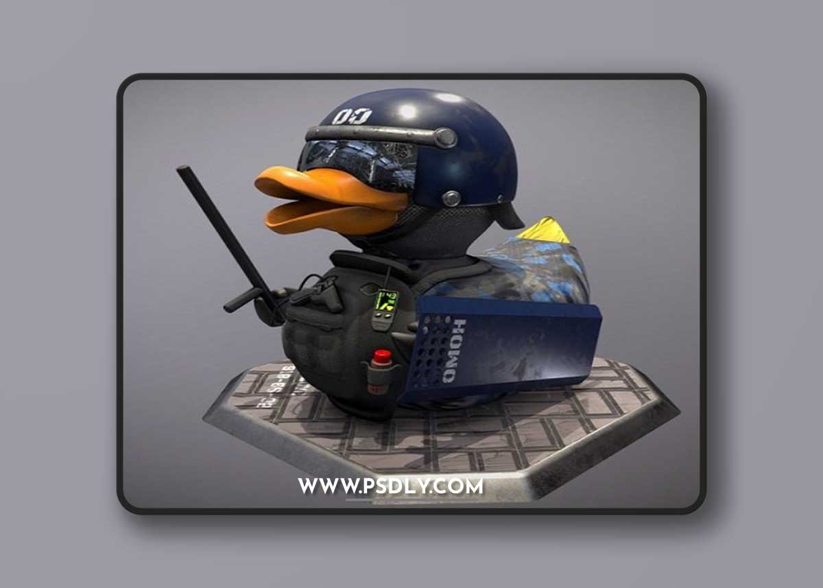 Special Duck 3D Model