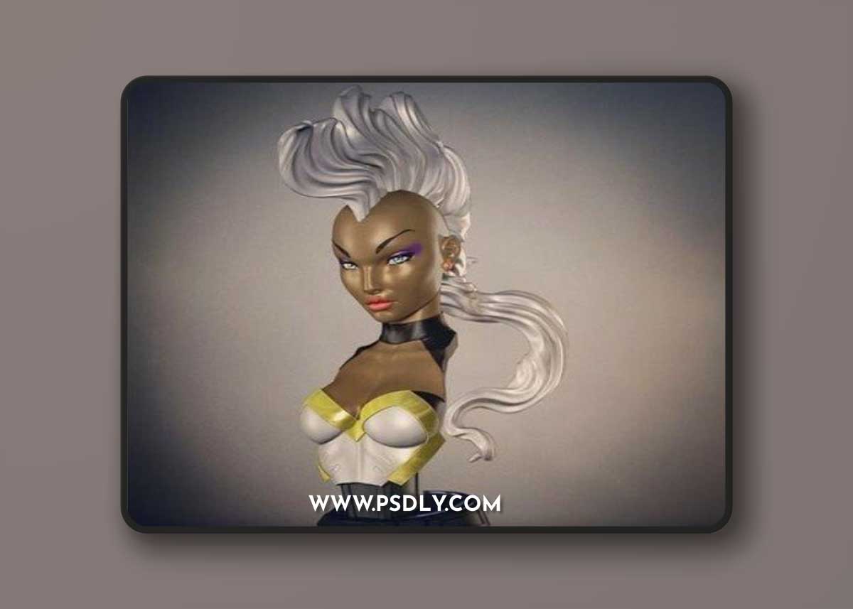 Storm Bust – 3D Print
