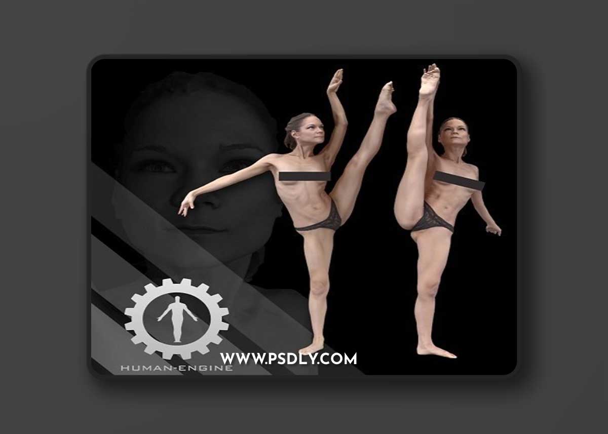 Sylph Anatomical Scan Ballet 40-41 3D model