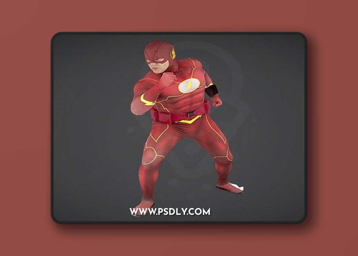 The Flash 3D Model