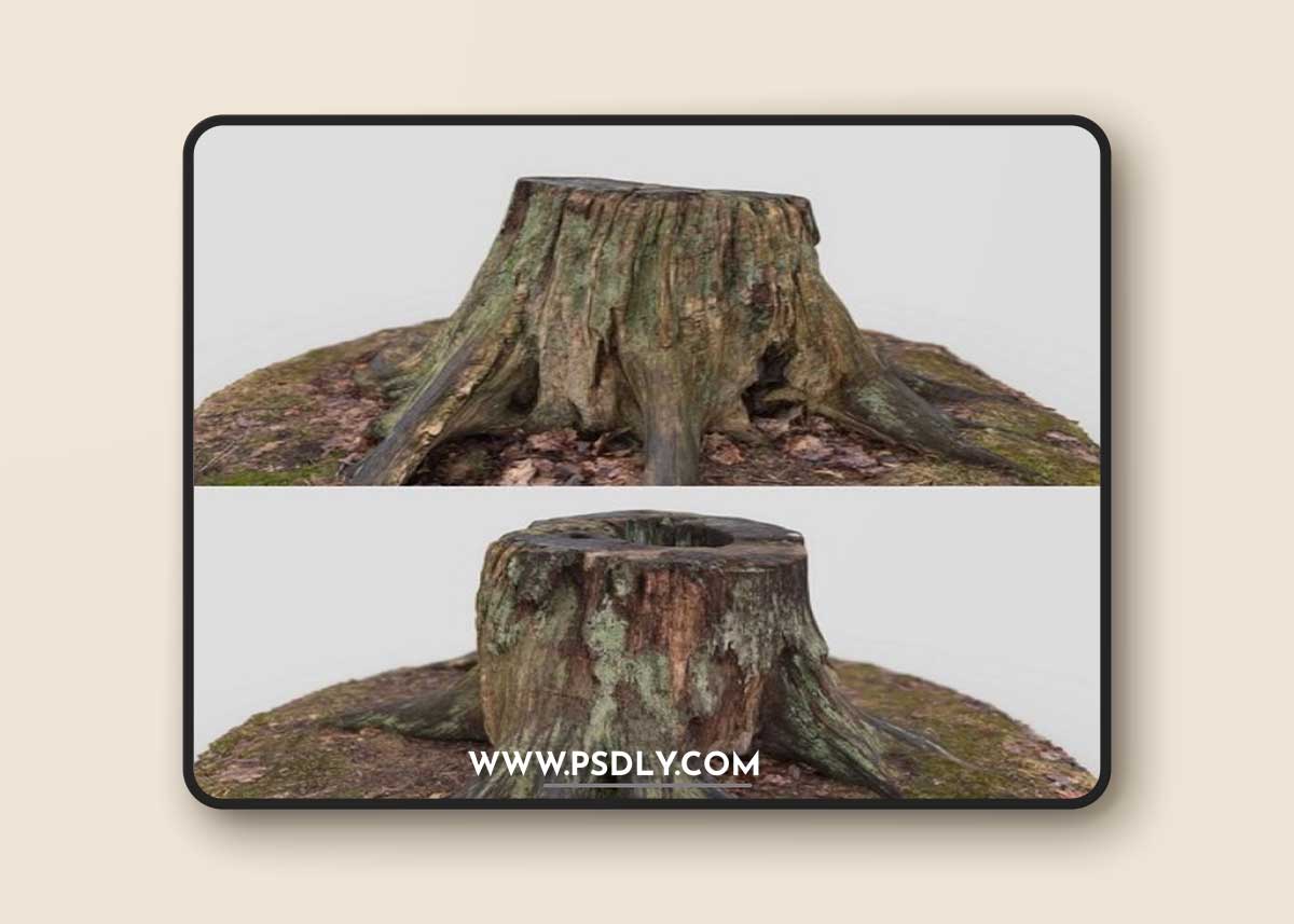 Tree stump 3D Model