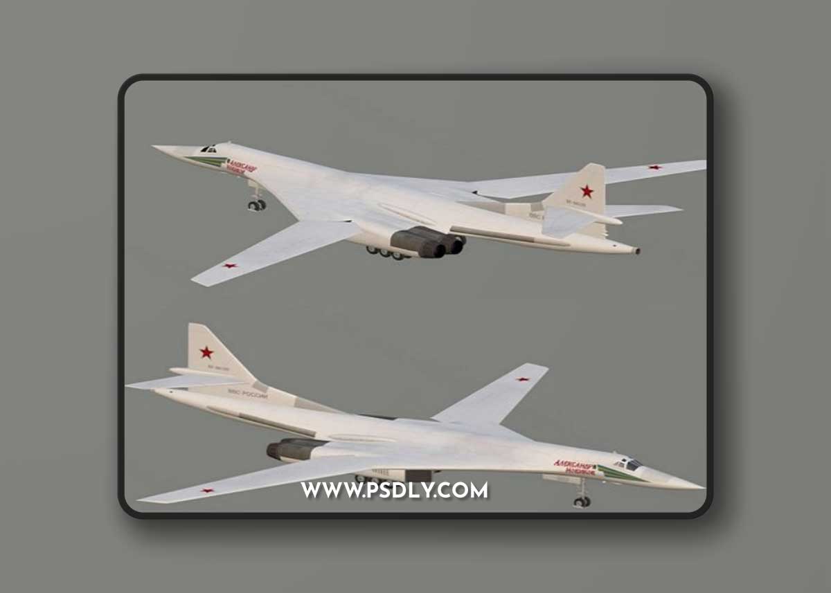 Tupolev Tu-160 Strategic bomber 3D Model