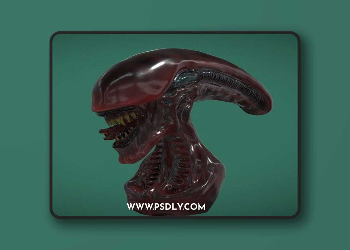 Xenomorph Bust 3D Model