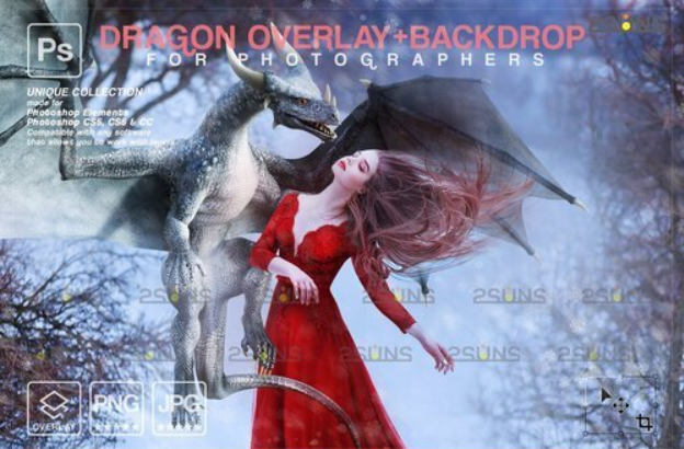 Creativemarket - Digital Winter Backdrop, Dragon Overlay 10956707 2 image 230