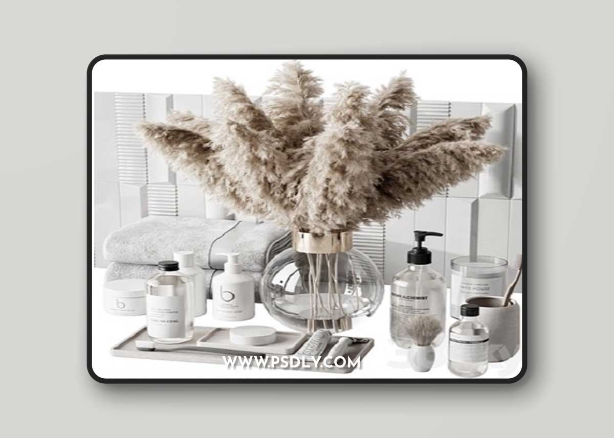 Bathroom Accessories 11 3D Model