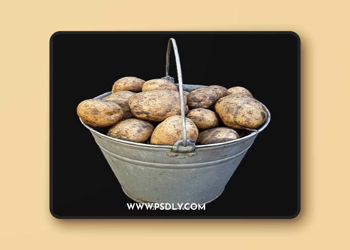 Bucket Of Potatoes 3D Model