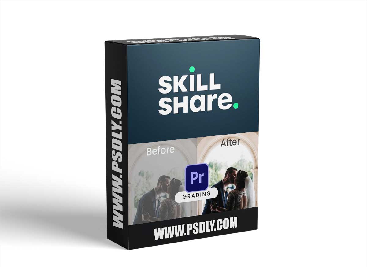 Colour Correct & Colour Grade Video like a Pro in Adobe Premiere Pro - Filmmaking basics