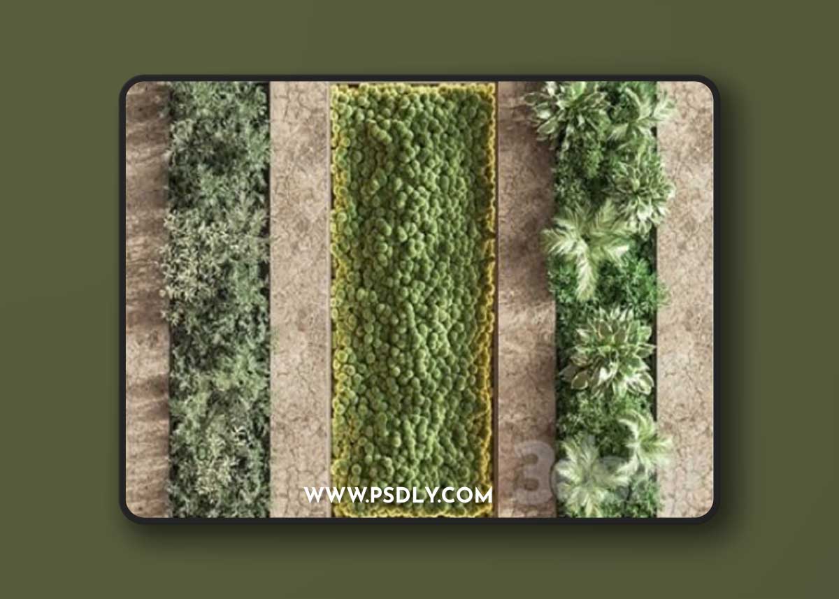 Concrete and Vertical Garden 02