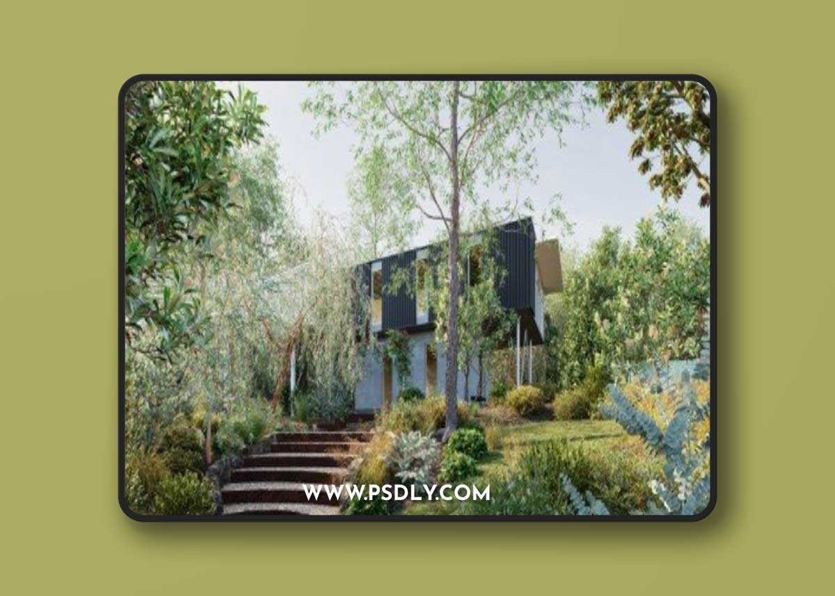 Globe Plants - Bundle 38 - Australian Home & Garden Plants 04 (MAX)