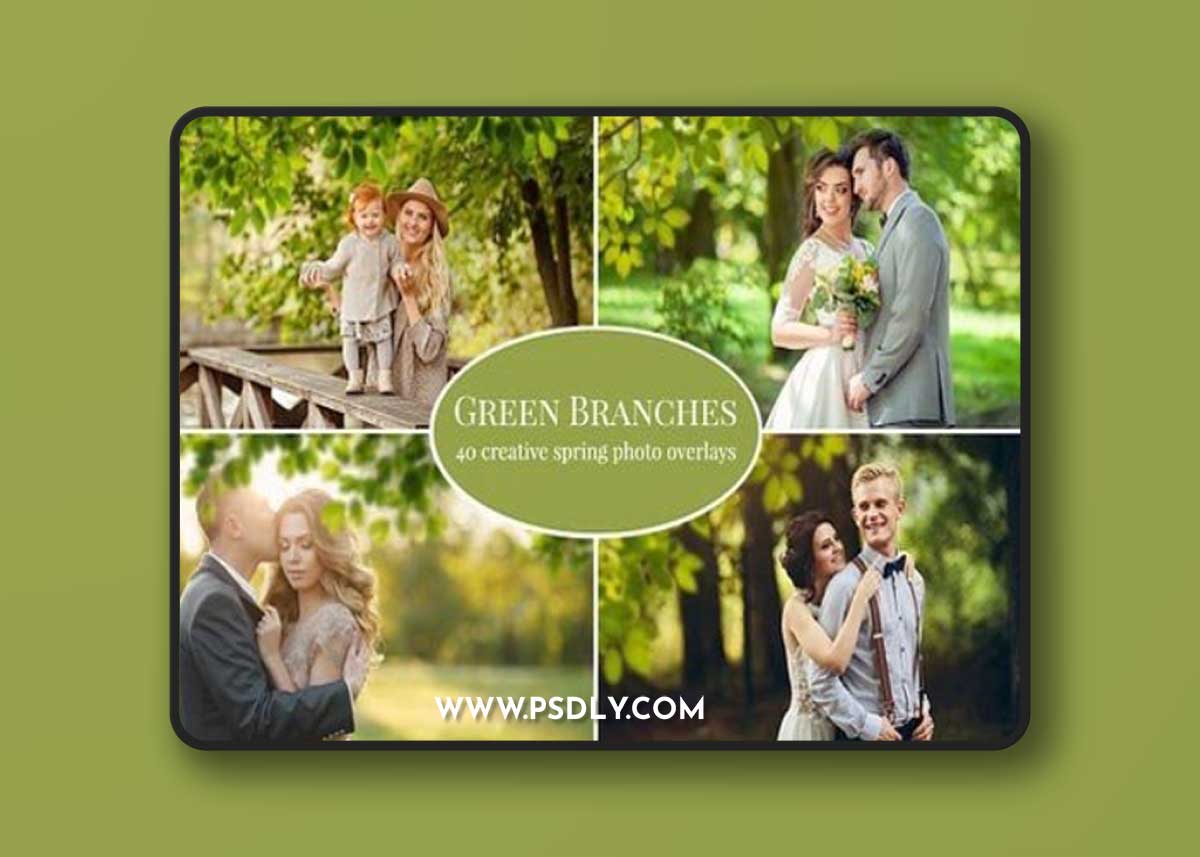 Green Branches photo overlays 1354736