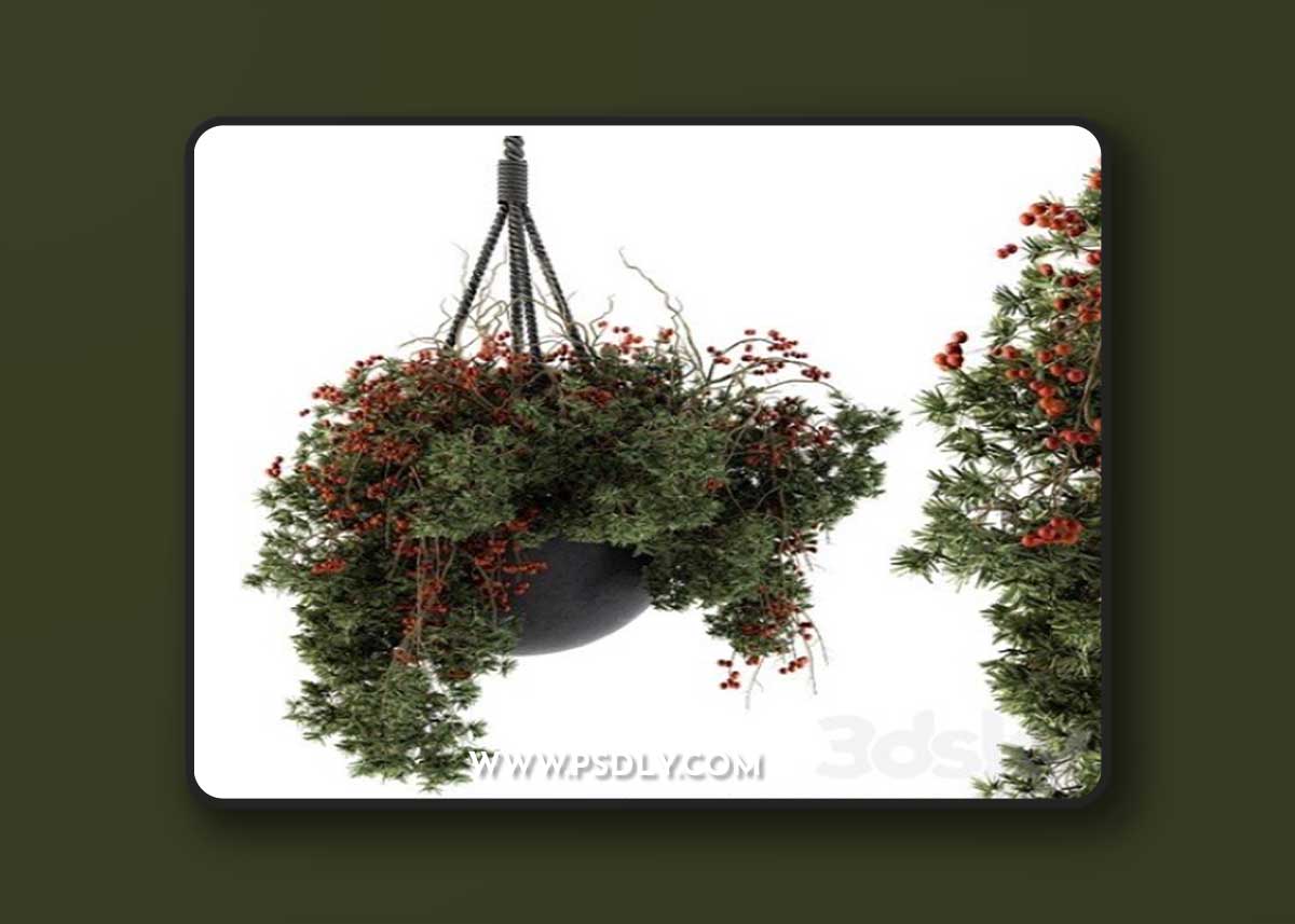 Hanging Pot plant – Set 102