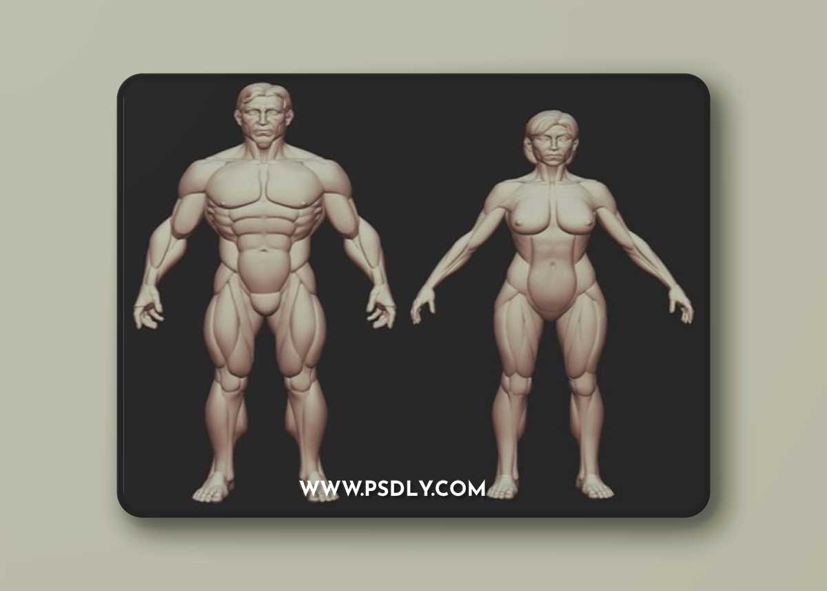 Man and Woman base shapes figures