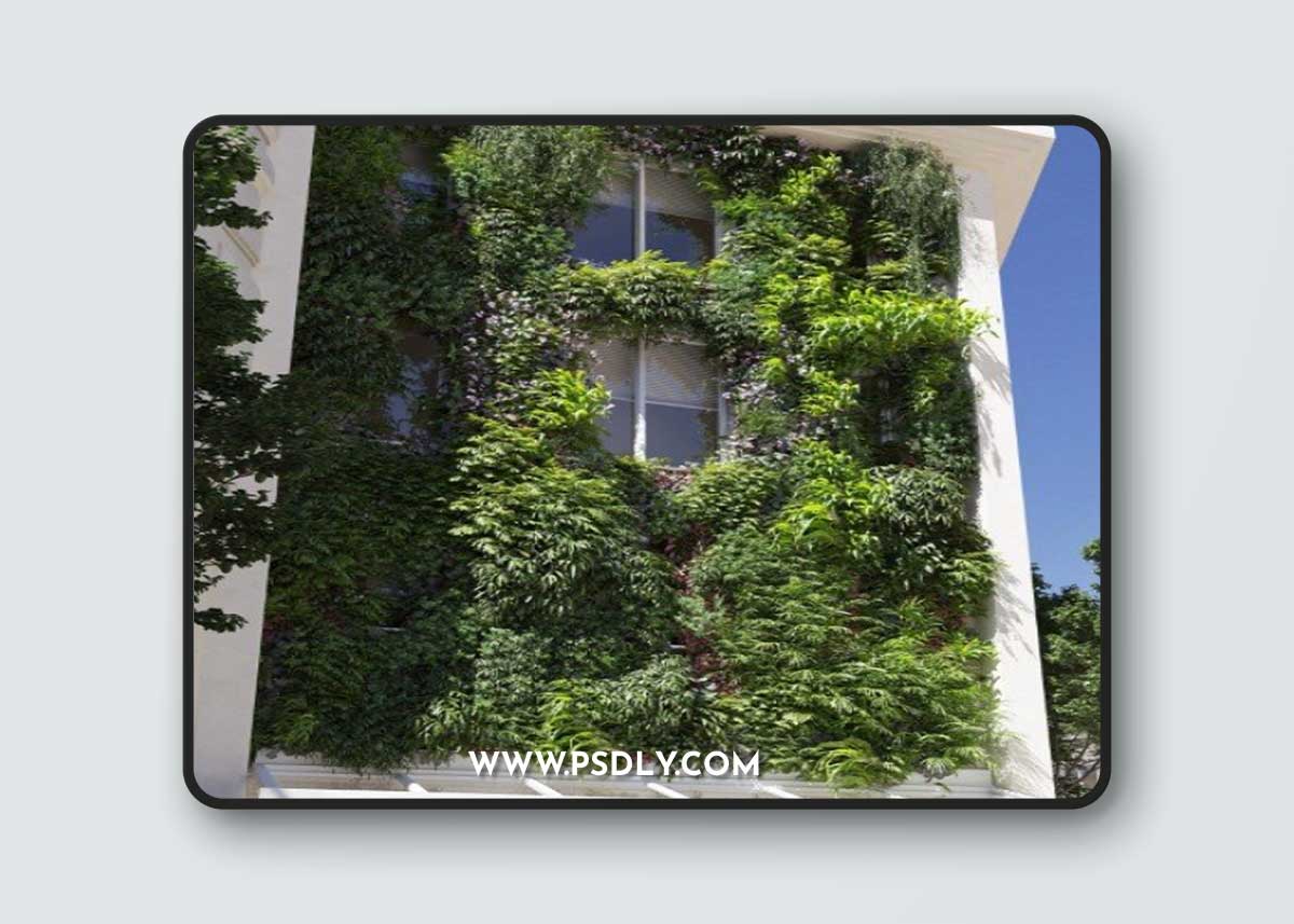 Maxtree - Plant Models Vol 13 (2021)