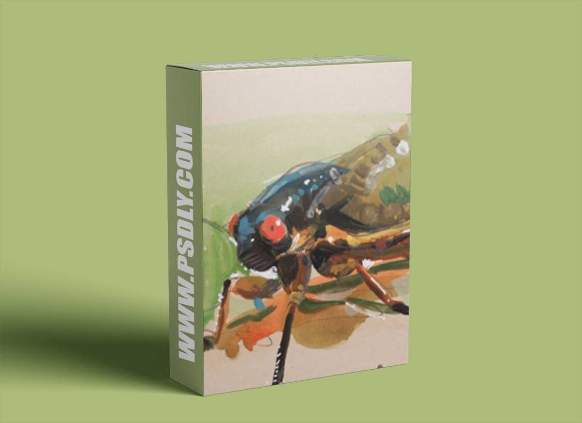 New Masters Academy - Drawing Insects, Tropical Animals, and Color Demonstration with Charles Hu