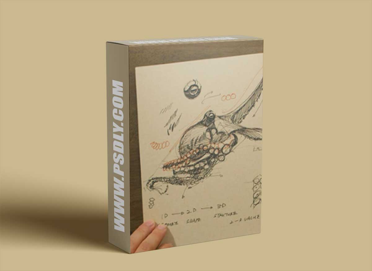 New Masters Academy - Drawing Marine Animals with Charles Hu