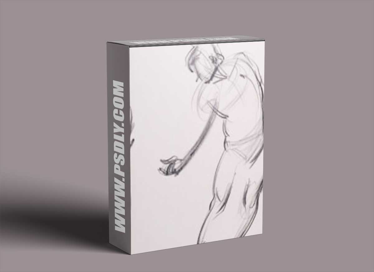 New Masters Academy - Drawing with FORCE: Torso Templates