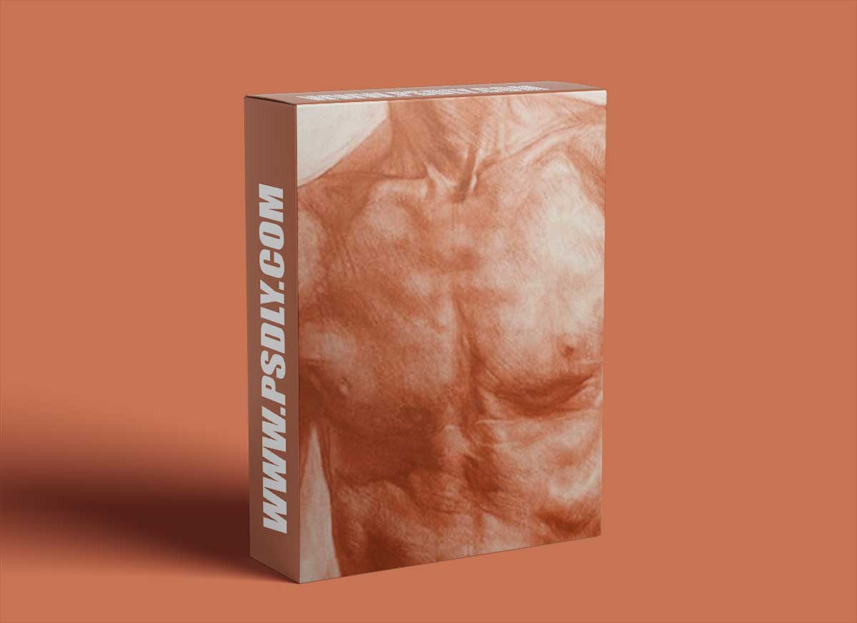 New Masters Academy - How to Draw the Asaro Planes of the Head with Iliya Mirochnik