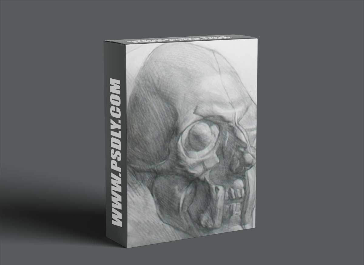 New Masters Academy - How to Draw the Muscles of the Face with Iliya Mirochnik