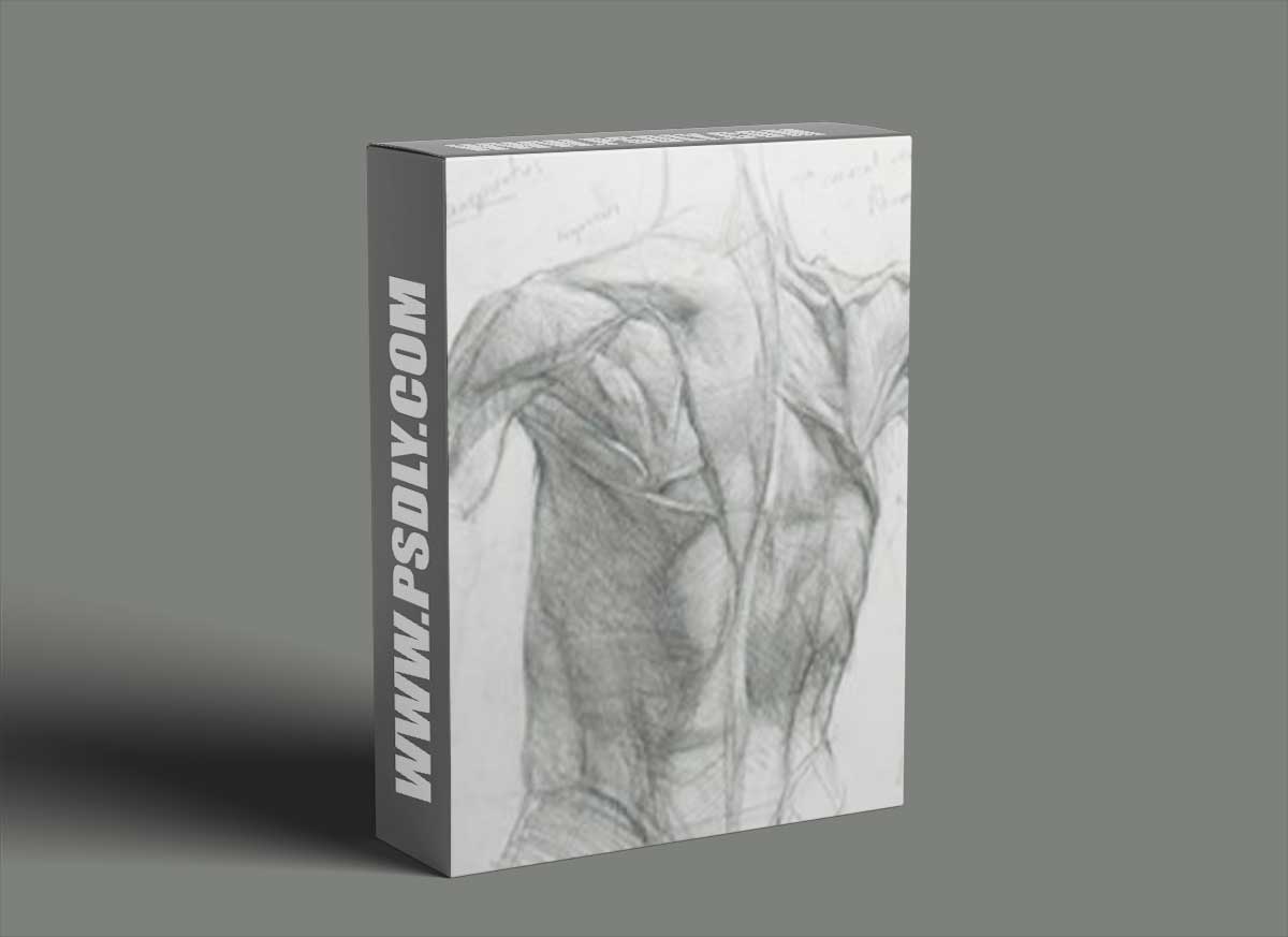 New Masters Academy - How to Draw the Muscles of the Neck with Iliya Mirochnik
