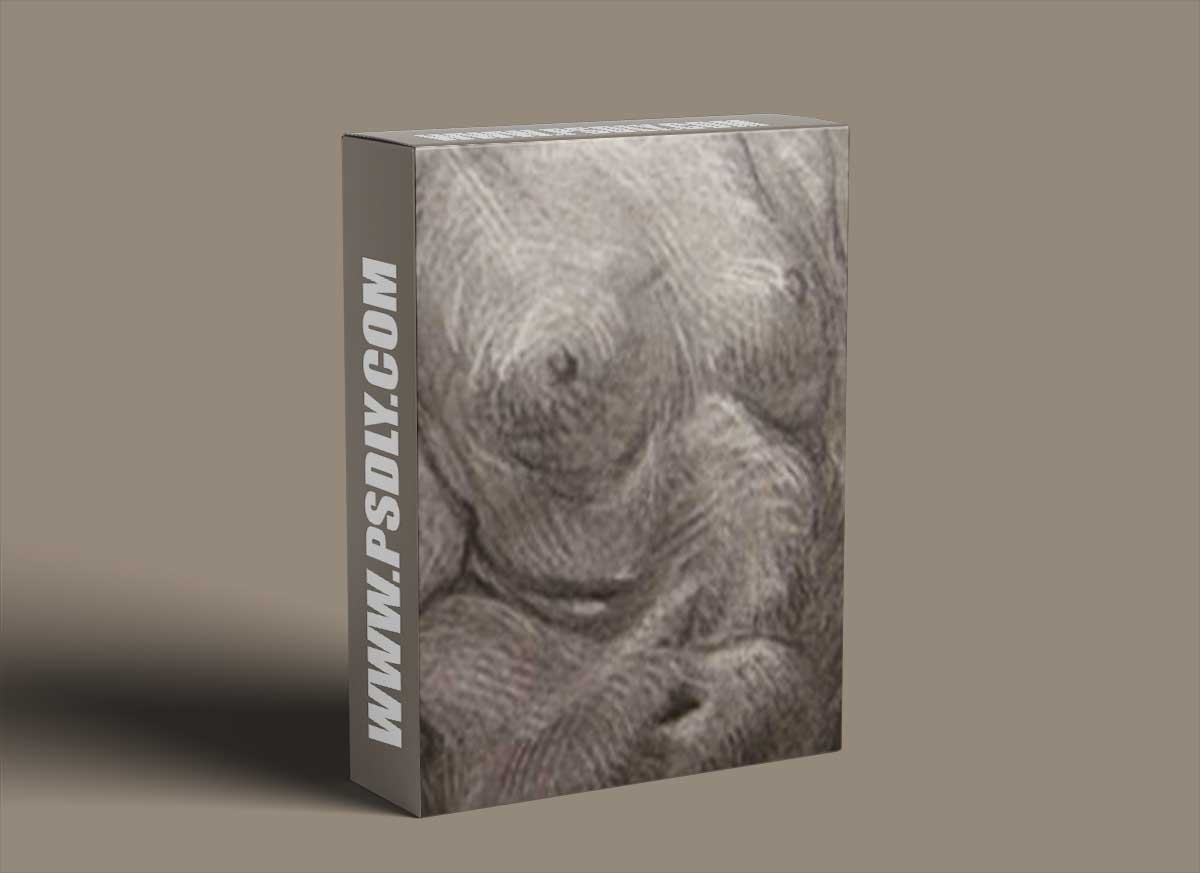 New Masters Academy - Working from Dark to Light with a Serrated Eraser with Glenn Vilppu