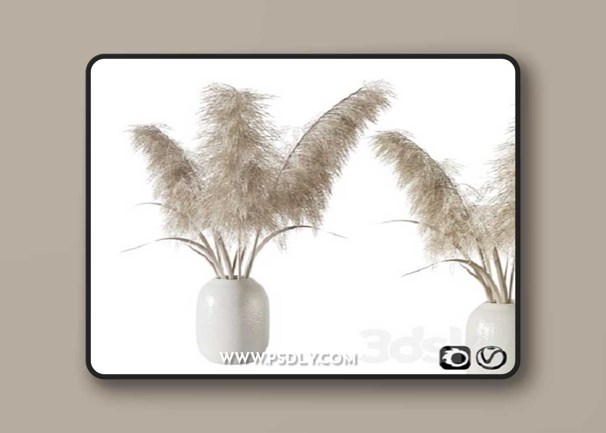 Pampas grass bouquet 3d model