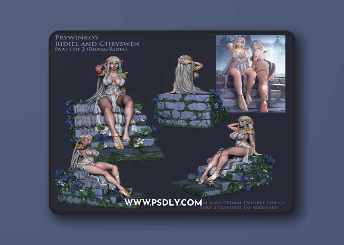 Ronin Arts Workshop RAW – Ridia 3D Print Model