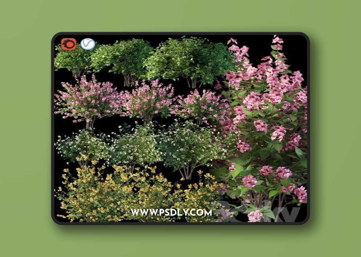 Set flowering shrubs 4