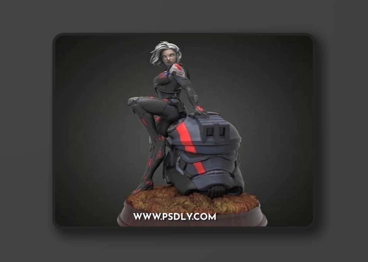 Sexy StarWars Girl 2 – 3D Print Model