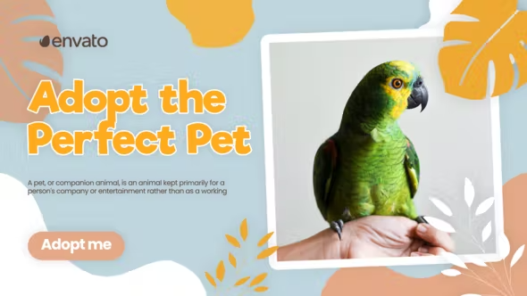 Videohive Adopt Pet Promo 42800787