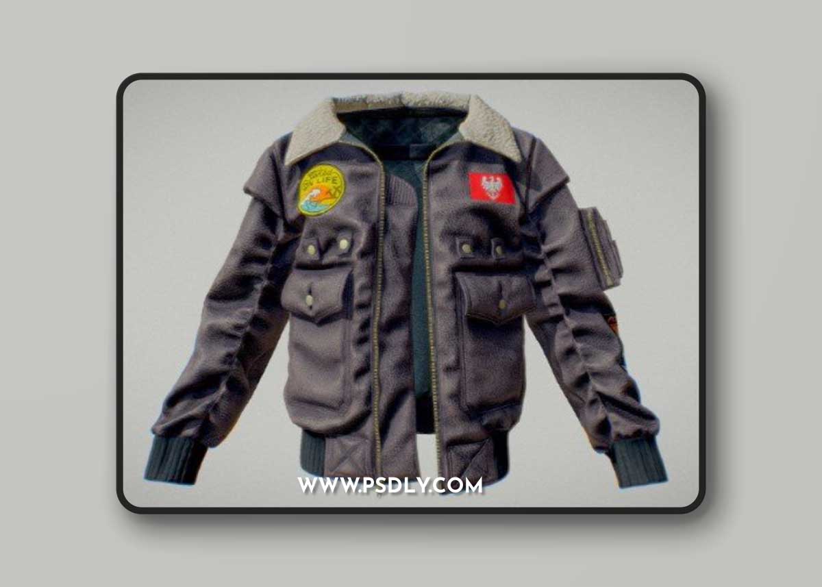 Bomber jacket 3D Model
