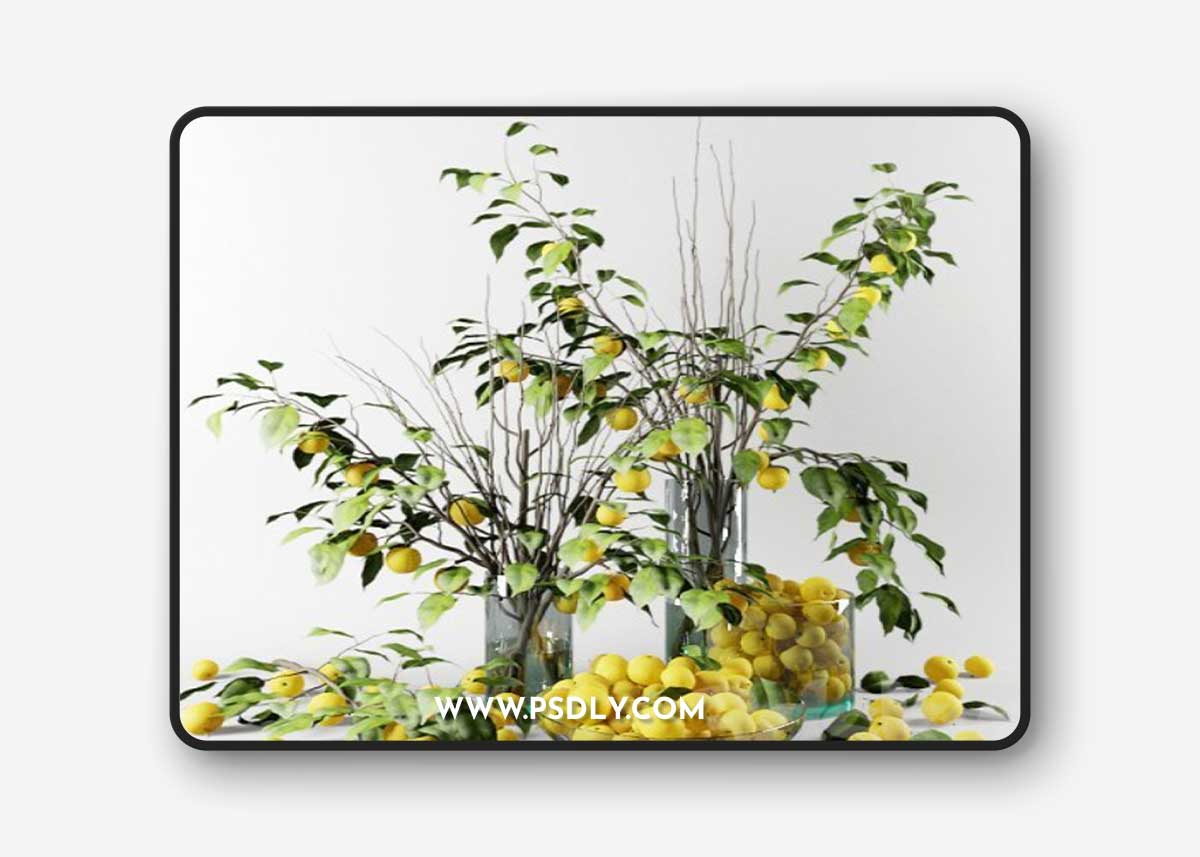 Bouquet of Chinese apple tree branches with yellow apples