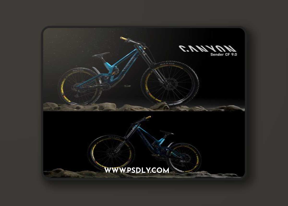 Canyon Sender CF 9.0 3D Model