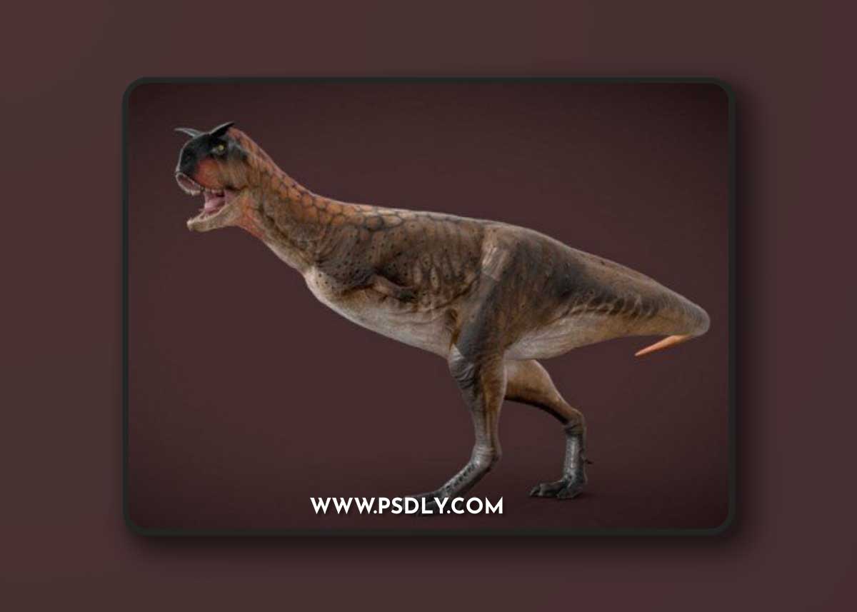 Carnotaurus 3D Model