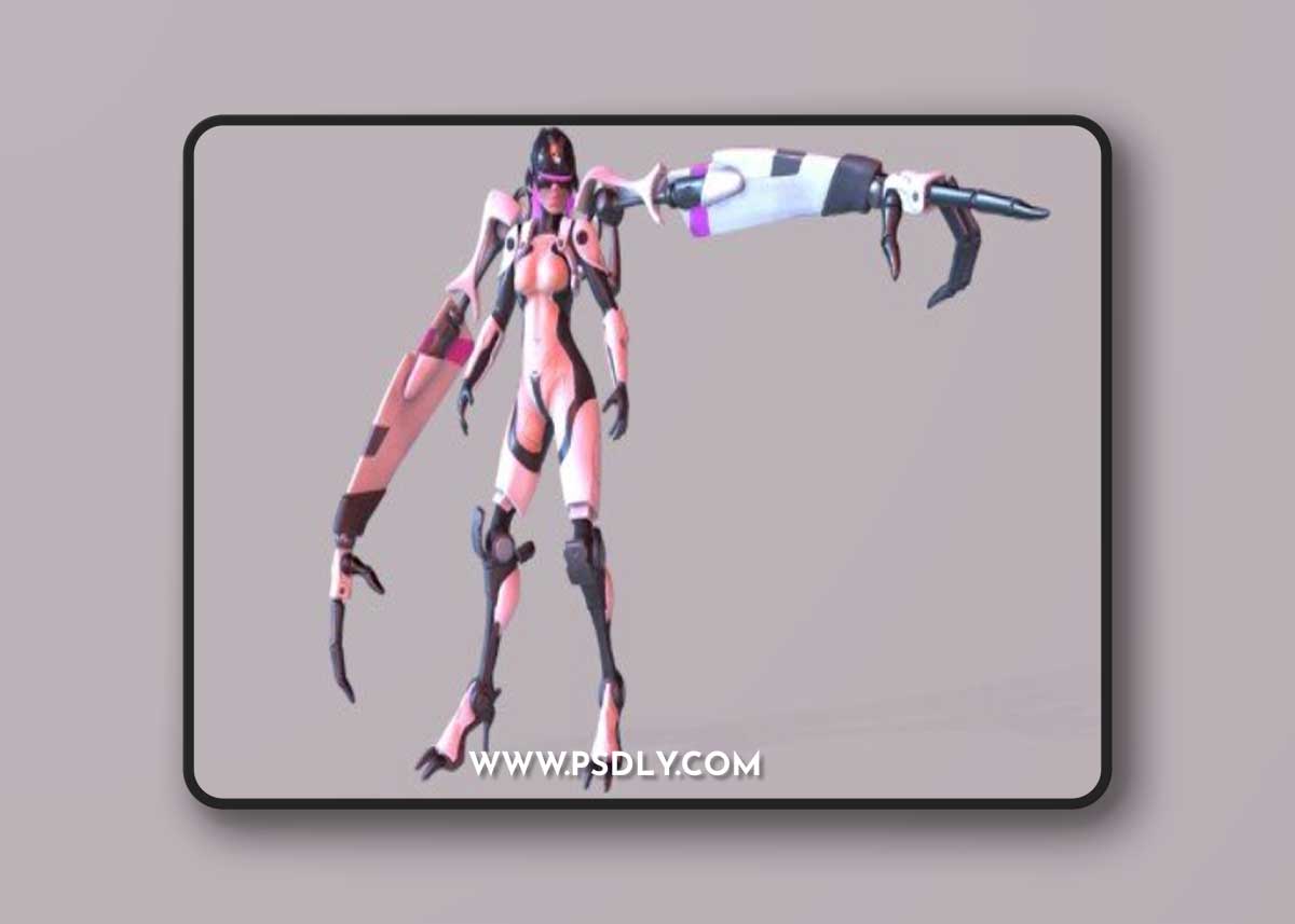 Cyborg - Posed 3D Model