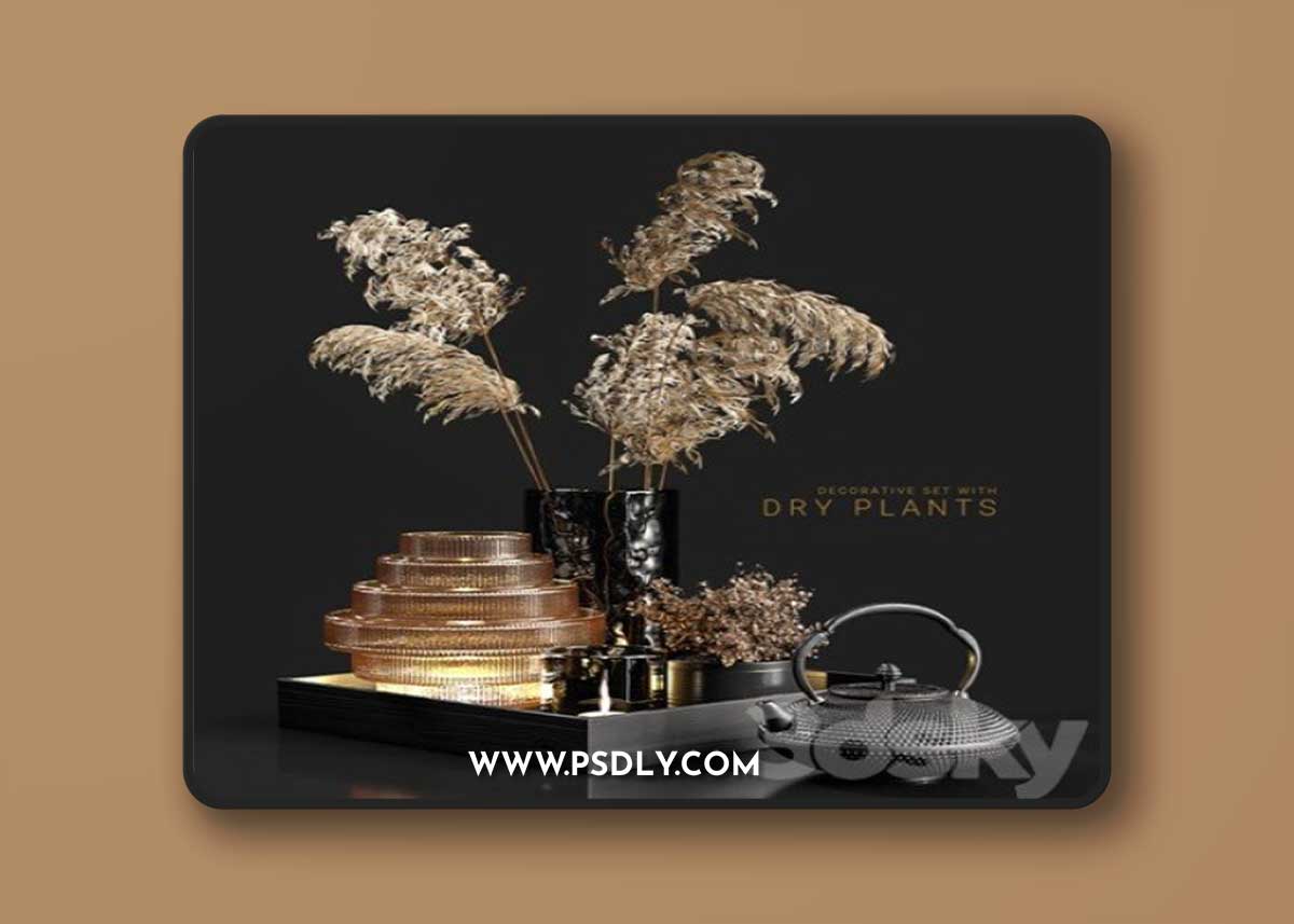 Decorative set with dry plants 3