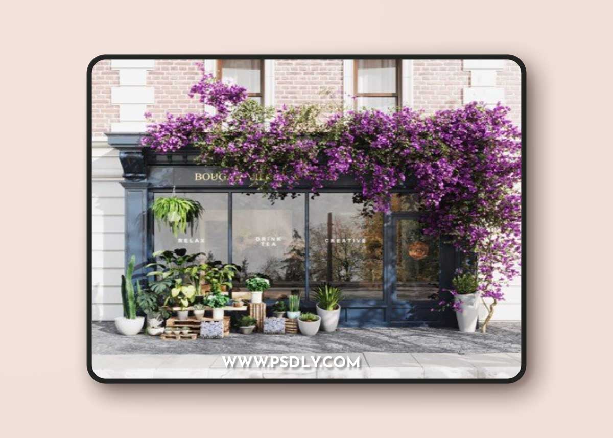 Exteriors Flora Store By Thang Quach