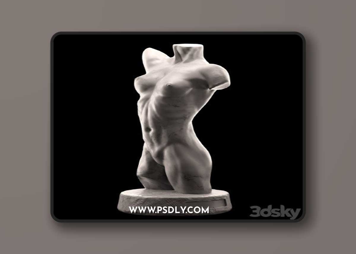 Female torso 3d model