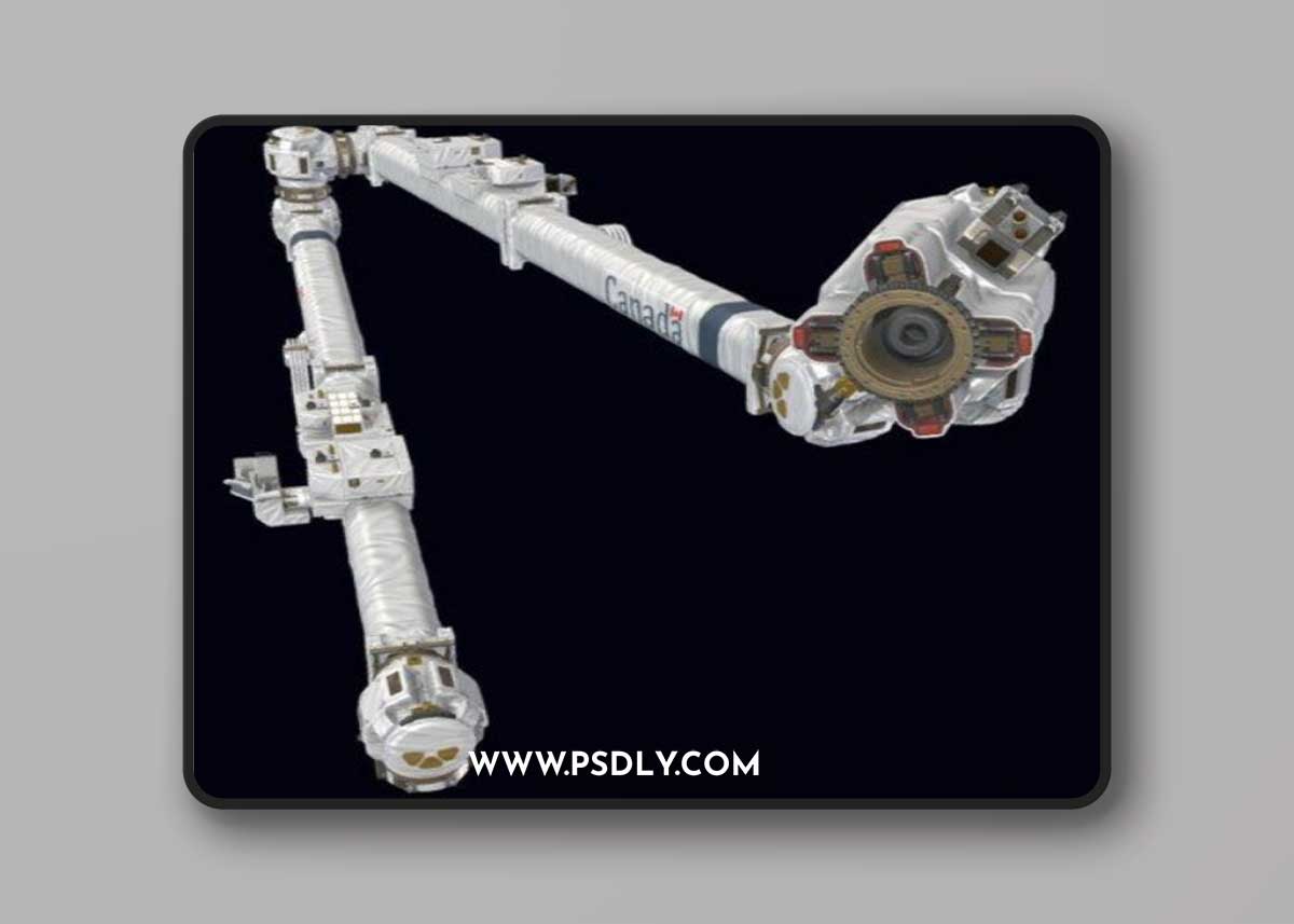 ISS Robotic Arm 3D Model